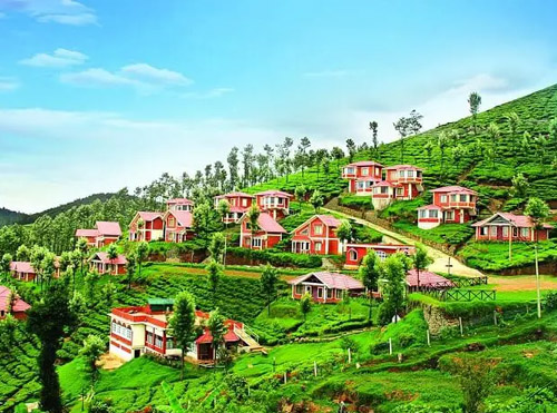 ooty-mysore-coorg tour